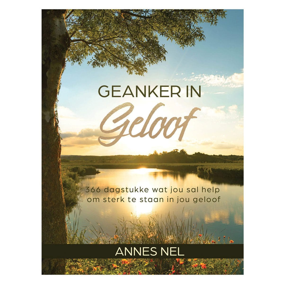 9781431626977_front Geanker in Geloof: 366 Dagstukke wat Jou Sal Help om Sterk te Staan in Jou Geloof (Hardeband) - Image 3