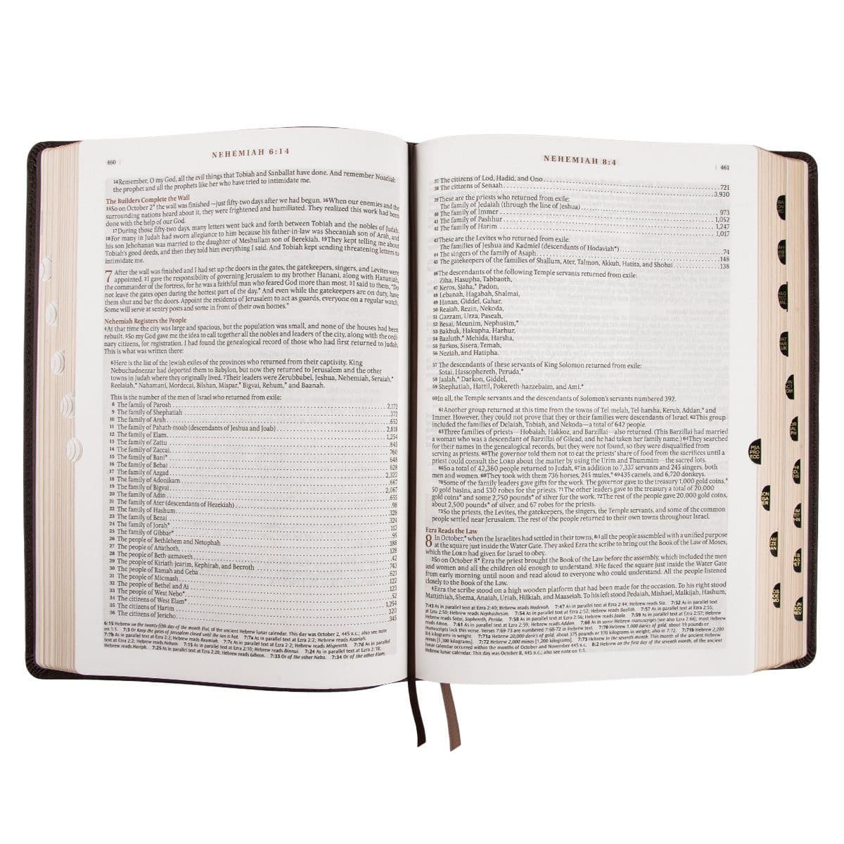 9781432134662_feature5 NLT Dark Brown Faux Leather Thumb Indexed Spiritual Growth Bible - Image 14