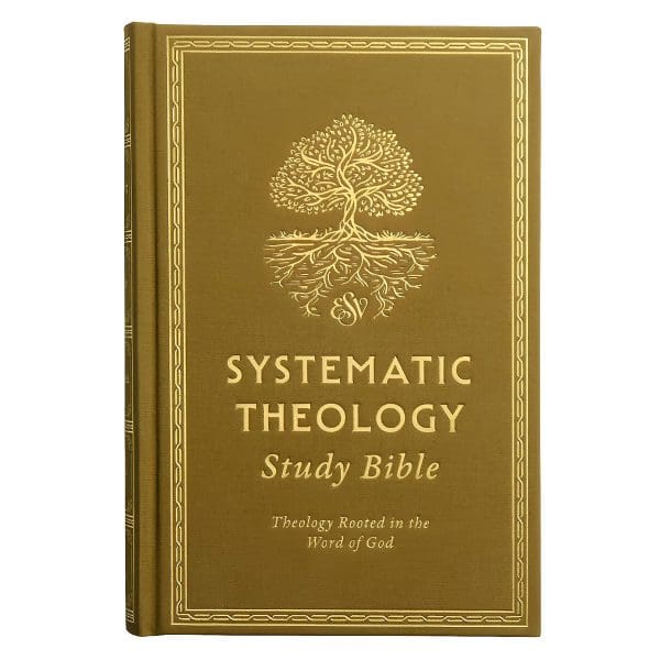 ESV Ochre Hardcover Systematic Theology Study Bible - Image 2