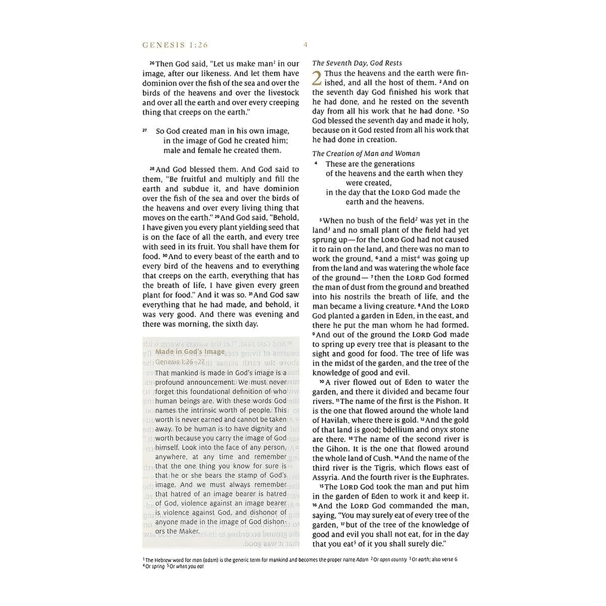 9781433595691_feature3 ESV White Hardcover Everyday Gospel Bible - Image 5