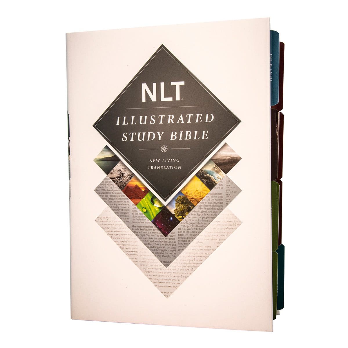 9781496402004_feature2 NLT Illustrated Study Bible (Hardcover) - Image 7