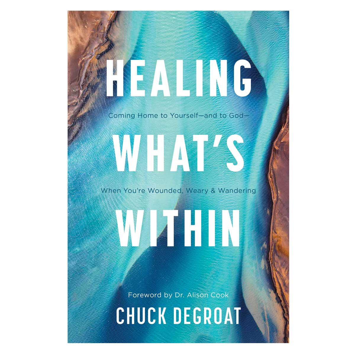 9781496483140_front Healing What’s Within: Coming Home to Yourself & to God when You're Wounded Weary & Wandering PB - Image 2
