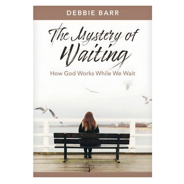 The Mystery of Waiting: How God Works While We Wait - Hope and Healing (Paperback) - Image 2