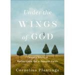 Under The Wings Of God: Twenty Biblical Reflections For A Deeper Faith (Paperback) - Image 2