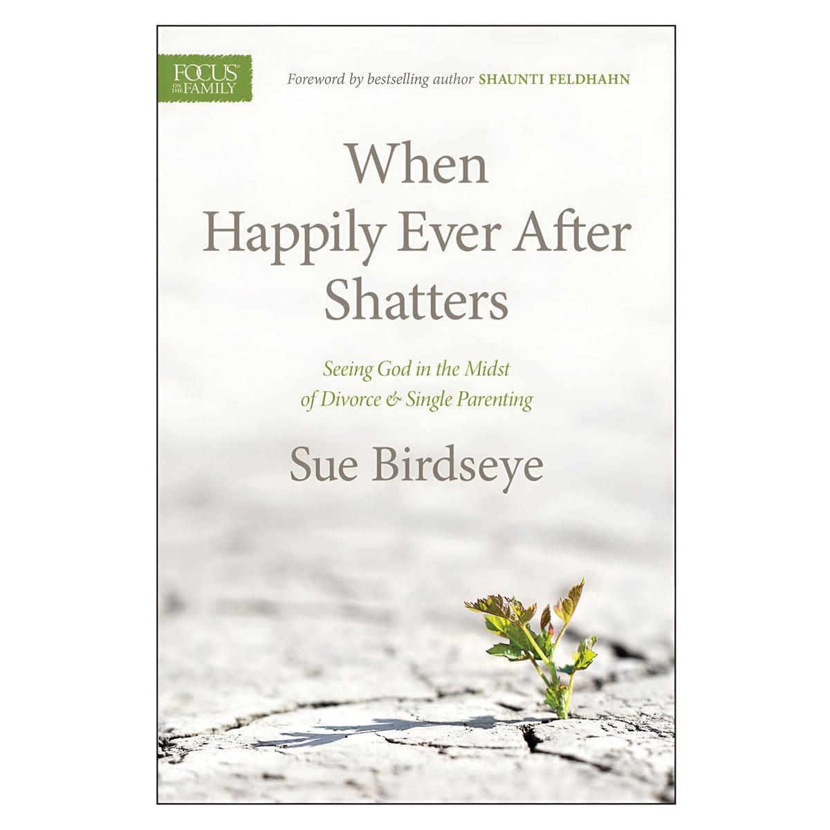 9781589977341_front When Happily Ever After Shatters: Seeing God in the Midst of Divorce & Single Parenting PB - Image 1
