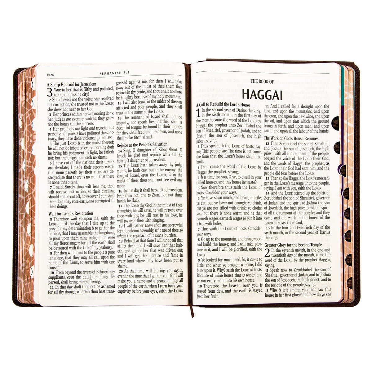 9781639522989_feature3 KJV Brown Lion Faux Leather Flexcover Kids Bible Large Print - Image 12