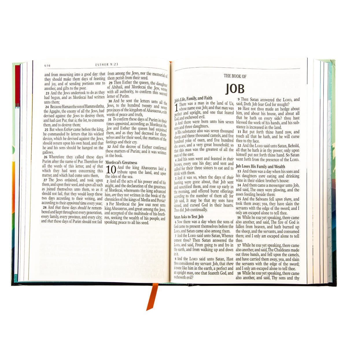 9781639523009_feature3 KJV Teal Mountains Hardcover Kids Bible Large Print - Image 11