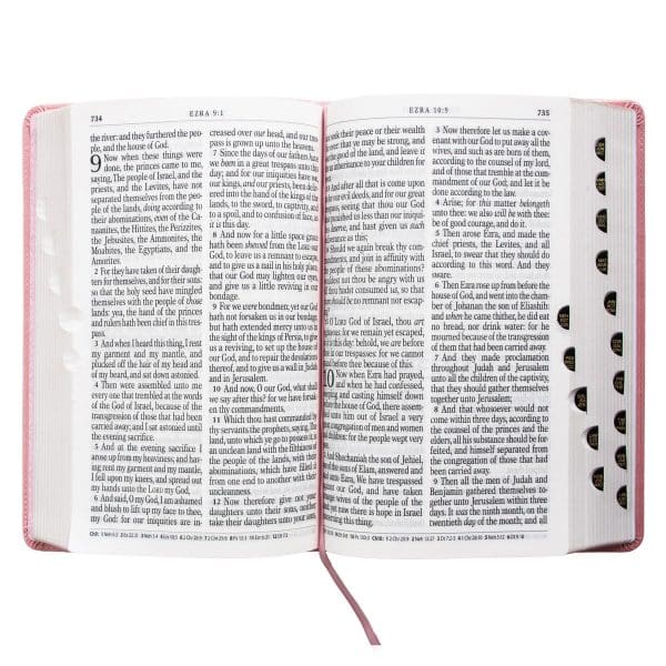 KJV Pink Faux Leather Bible Giant Print - Image 13