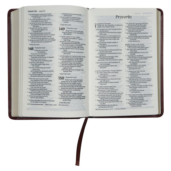 NLT Brown Faux Leather Flexcover Compact Bible - Image 14