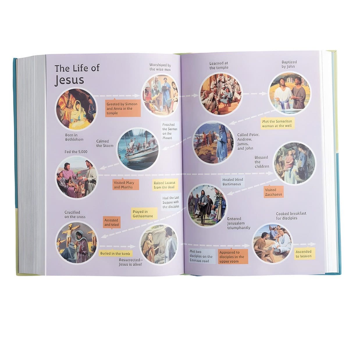 9798384510833_feature4 CSB Hardcover Grace Dyslexia Friendly Bible for Kids - Image 5