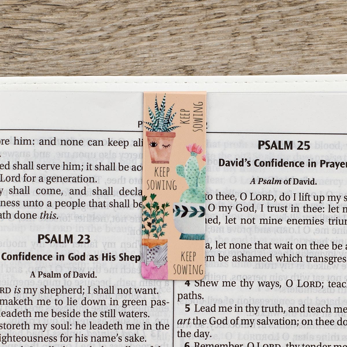 1220000137202_feature1 Grow In Grace Magnetic Bookmarks Set Of 6 - Image 9
