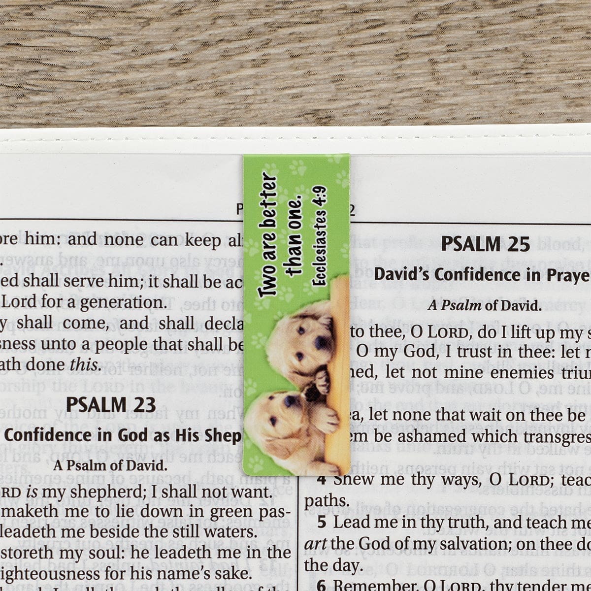 6006937095977_feature2 I Thank God Everytime Magnetic Bookmarks Set Of 6 - Image 12