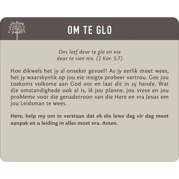 Geanker In Die Woord Afrikaans Prayer Cards In Tin - Image 12