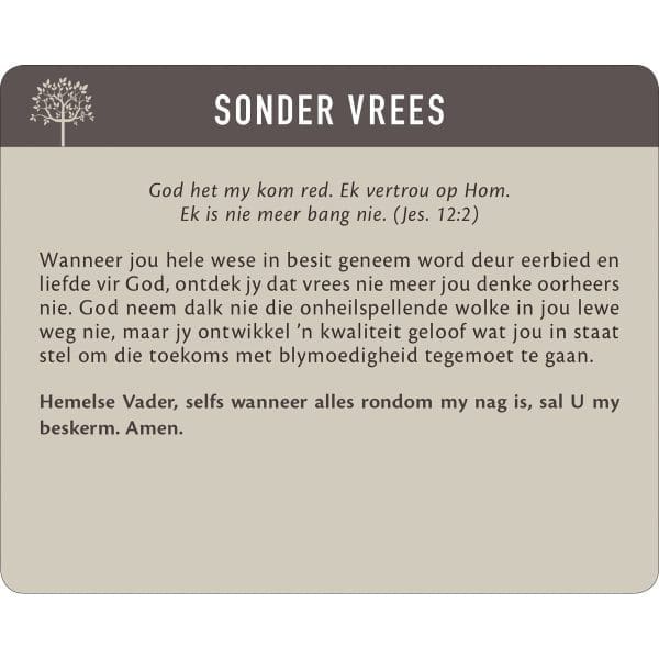 Geanker In Die Woord Afrikaans Prayer Cards In Tin - Image 14