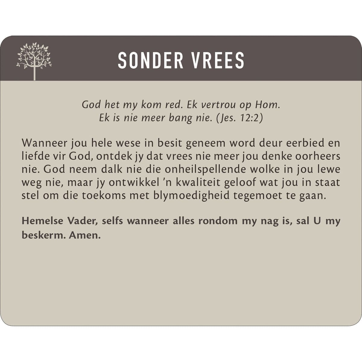 6006937147249_feature3 Geanker In Die Woord Afrikaans Prayer Cards In Tin - Image 14