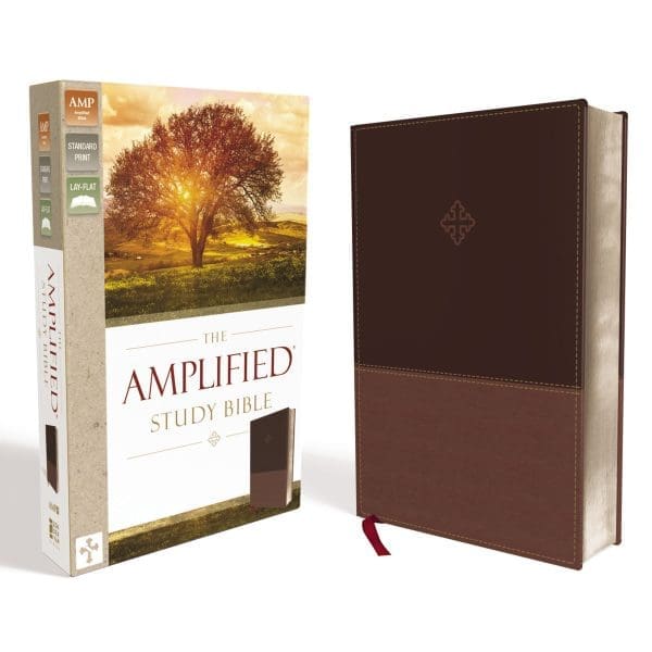 Amplified Study Bible Brown (Imitation Leather) - Image 1