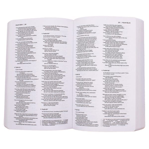 NIV Holy Bible For Boys Comfort Print Gray (Imitation Leather) - Image 9