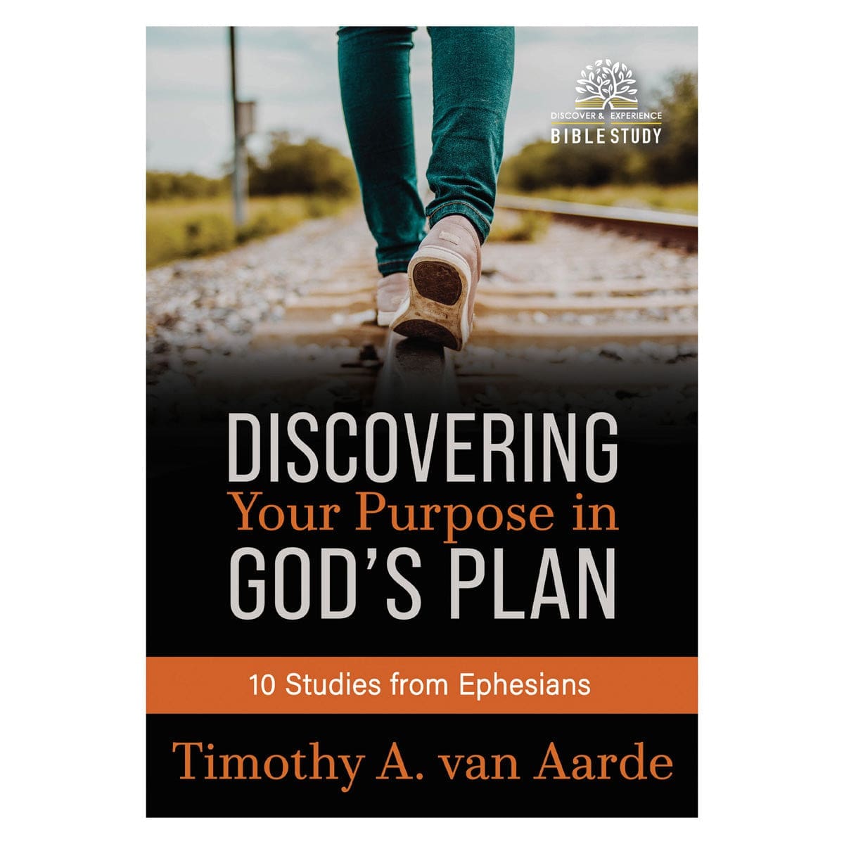 9780638002775_front Discovering Your Purpose in God’s Plan Bible Study - 10 Studies from Ephesians PB - Image 2