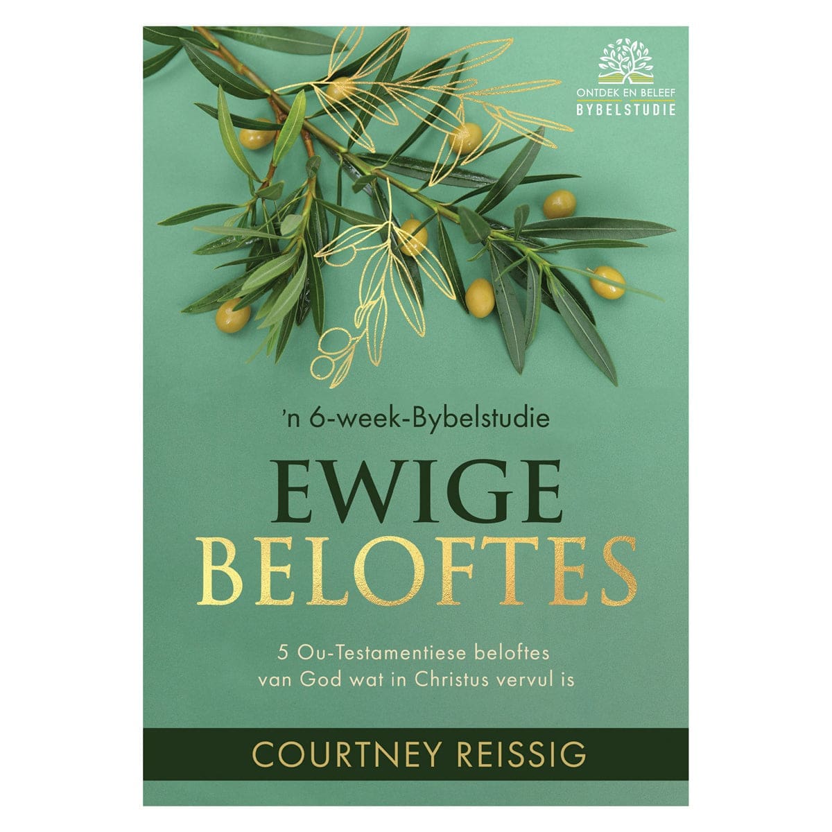 9780638008517_front Ewige beloftes: ’n 6-week-Bybelstudie (Sagteband) - Image 5