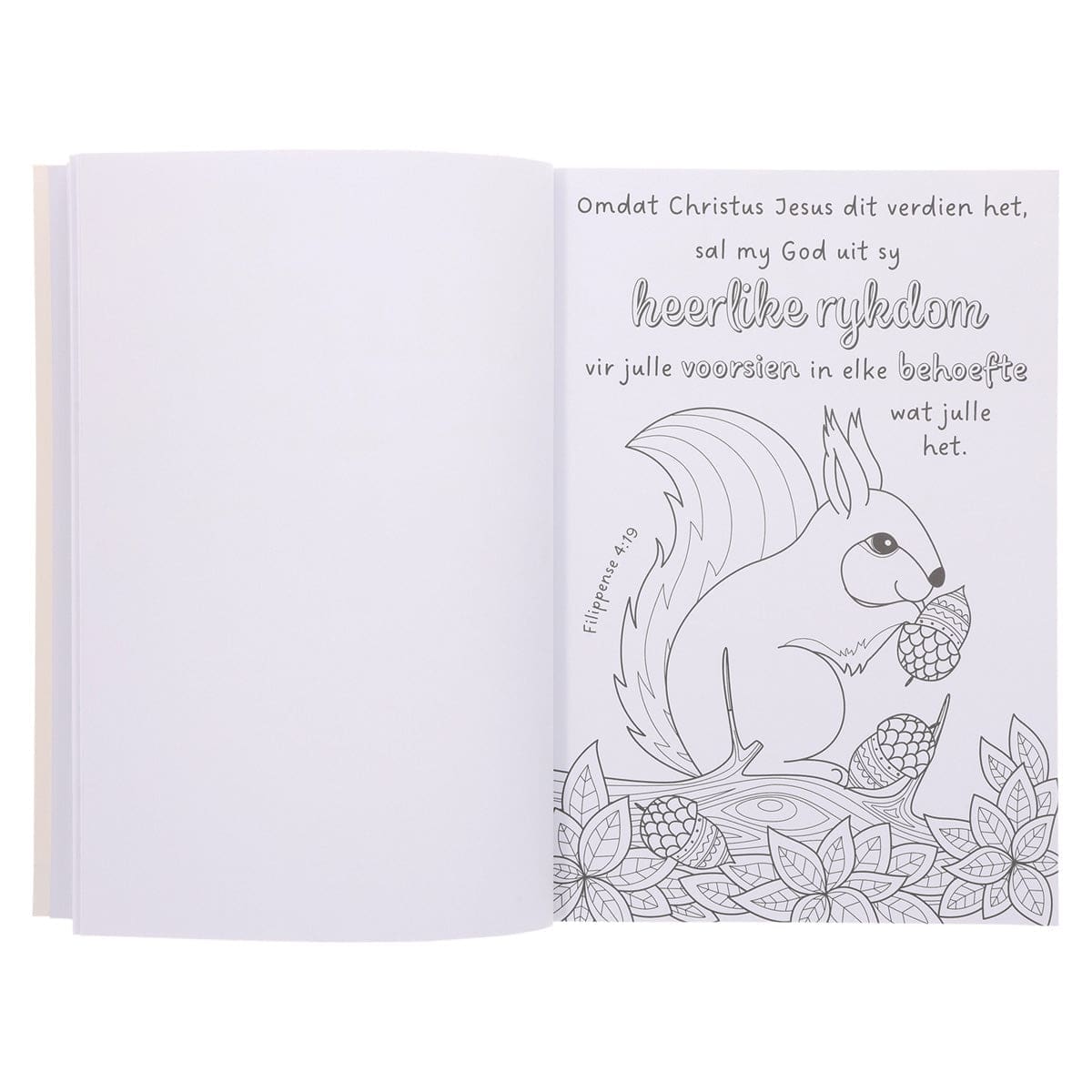 9780638009460_feature3 My Gunsteling Bybelverse Inkleurboek vir Dogters (Sagteband) - Image 14