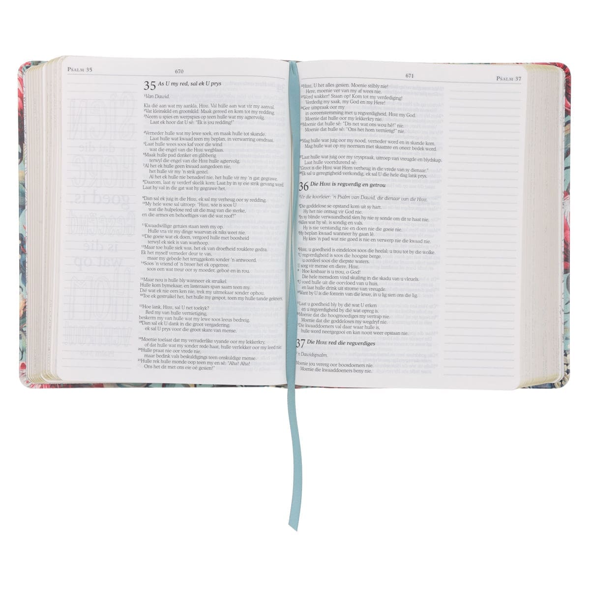 9780638009613_feature2 NLV Proteas Kunsleer My Kreatiewe Joernaal-Bybel - Image 9