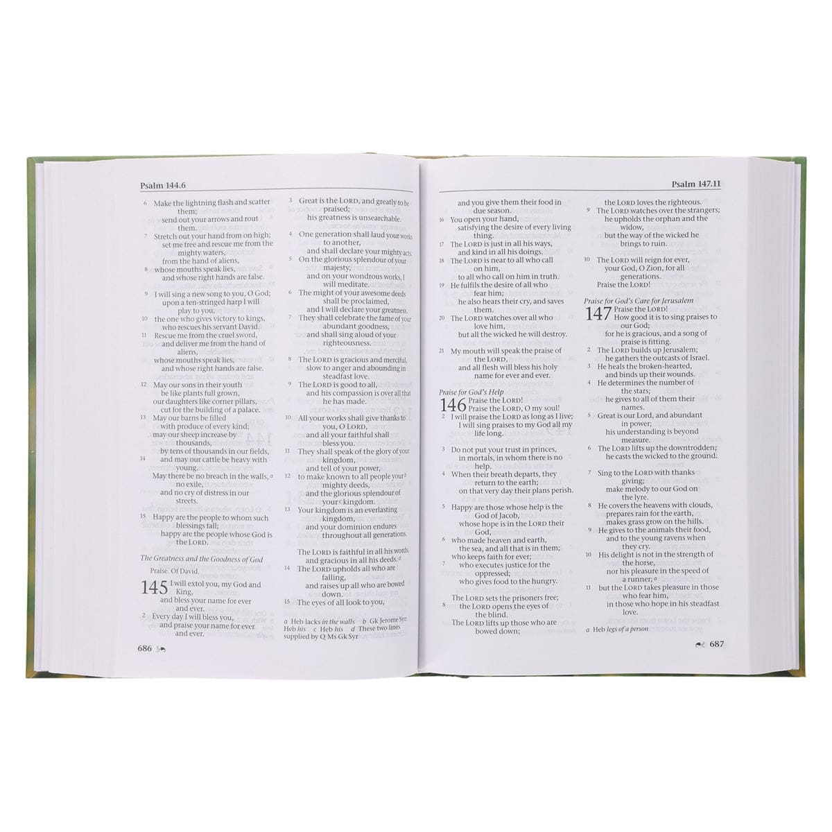 9781400337163_feature4 NRSV Bird of Paradise Hardcover Catholic Edition Holy Bible Global Cover Series - Image 19