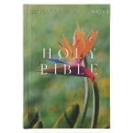 NRSV Bird of Paradise Hardcover Catholic Edition Holy Bible Global Cover Series - Image 14