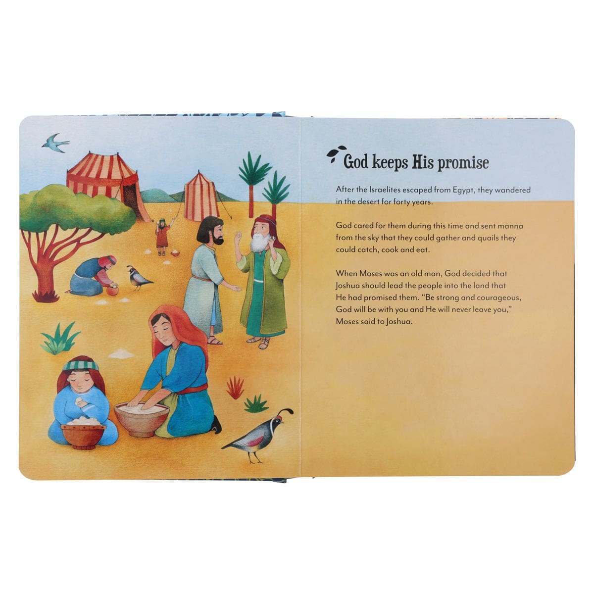 9781415341988_feature3 The Picture Bible For Little Ones (Hardcover) - Image 18