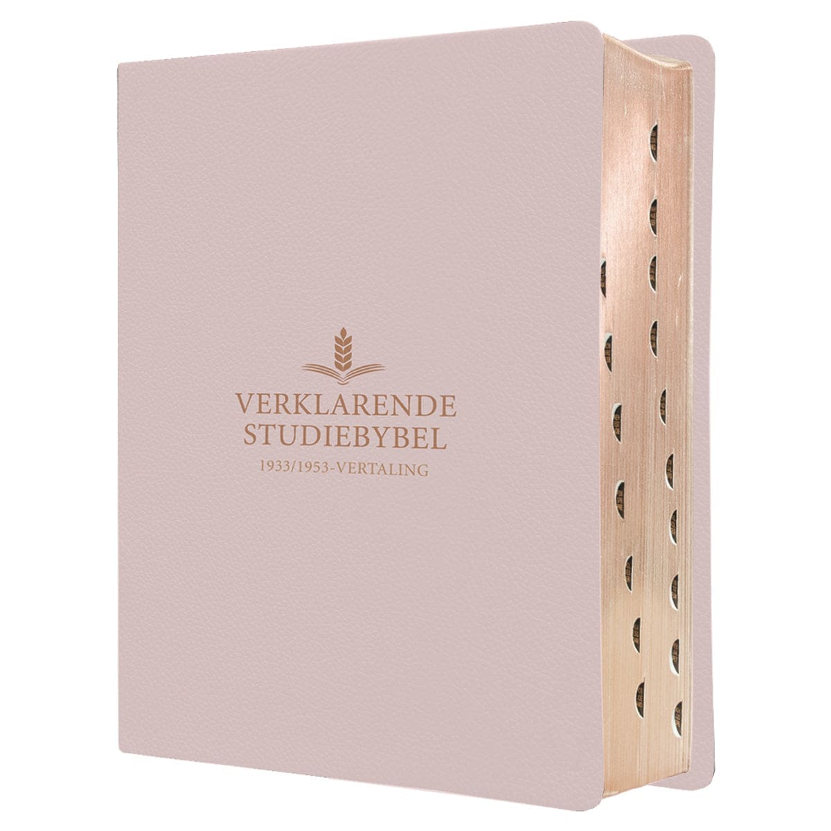 9781415342053_feature1 Afrikaans 1933/1953 Vertaling Ligroos Kunsleer Verklarende Studiebybel - Image 15