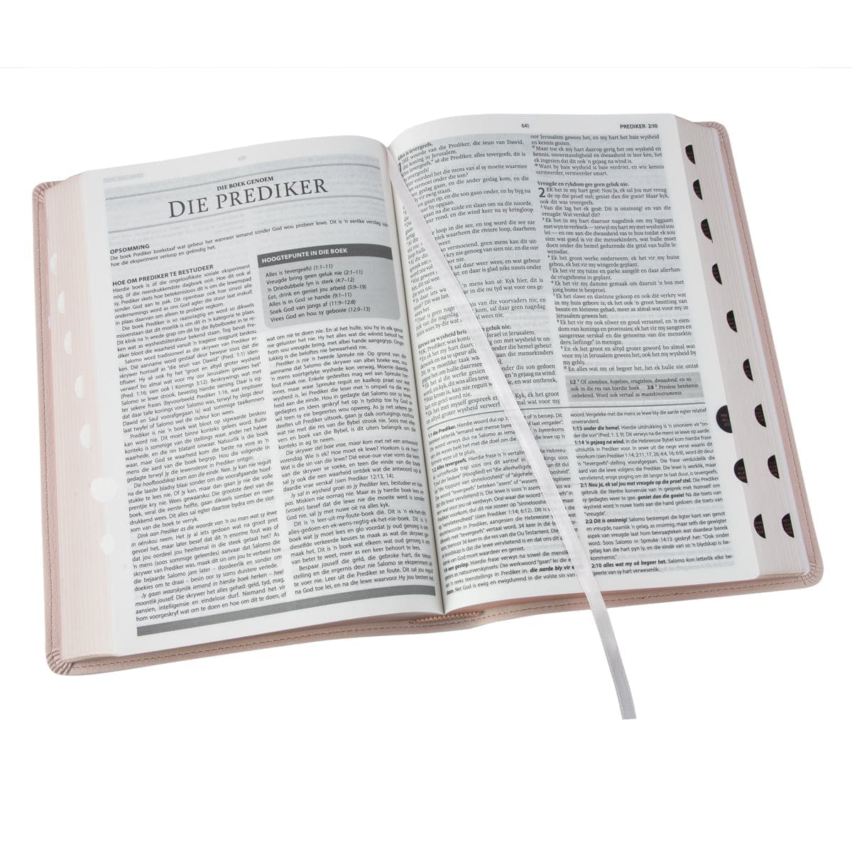 9781415342053_feature3 Afrikaans 1933/1953 Vertaling Ligroos Kunsleer Verklarende Studiebybel - Image 17