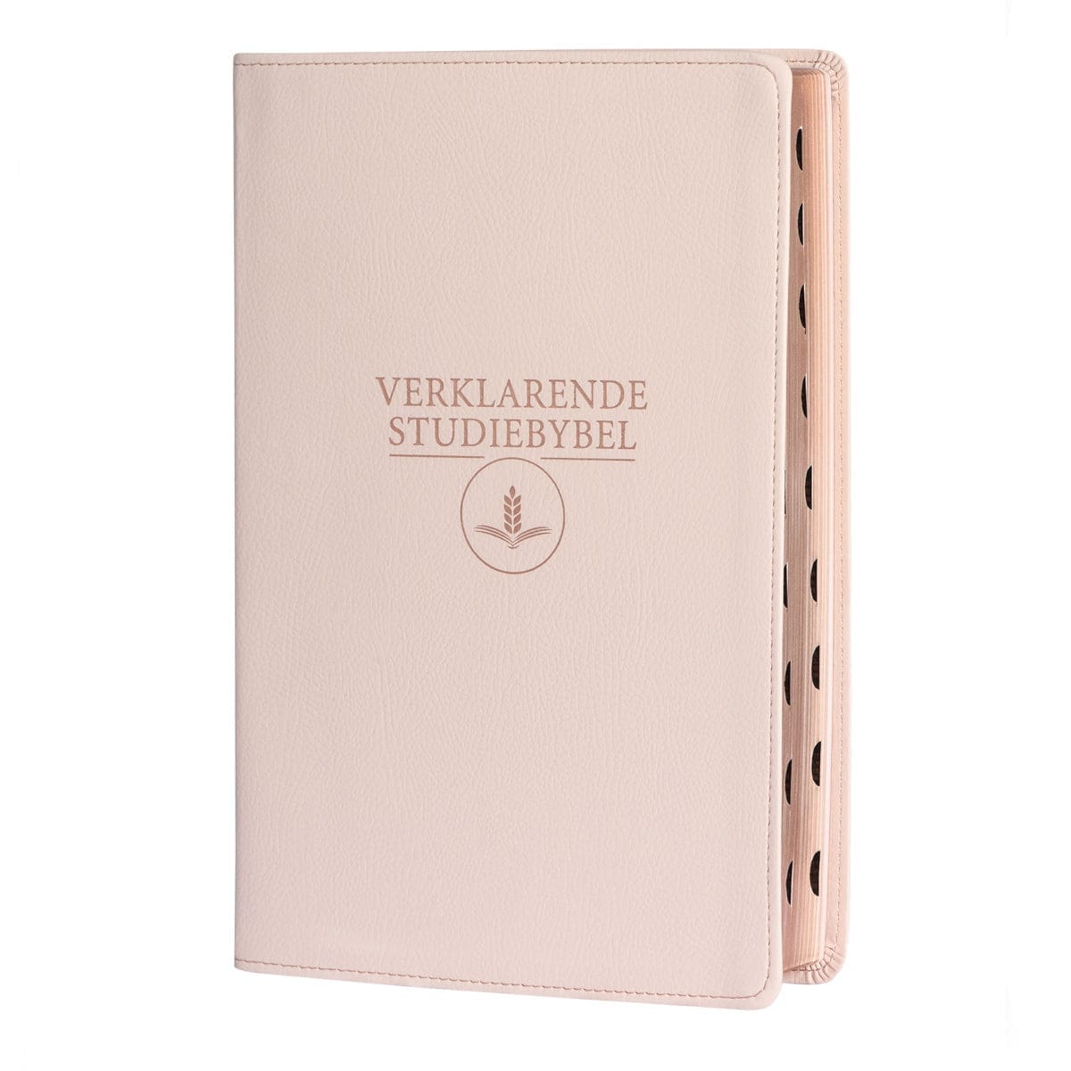 9781415342053_front Afrikaans 1933/1953 Vertaling Ligroos Kunsleer Verklarende Studiebybel - Image 14