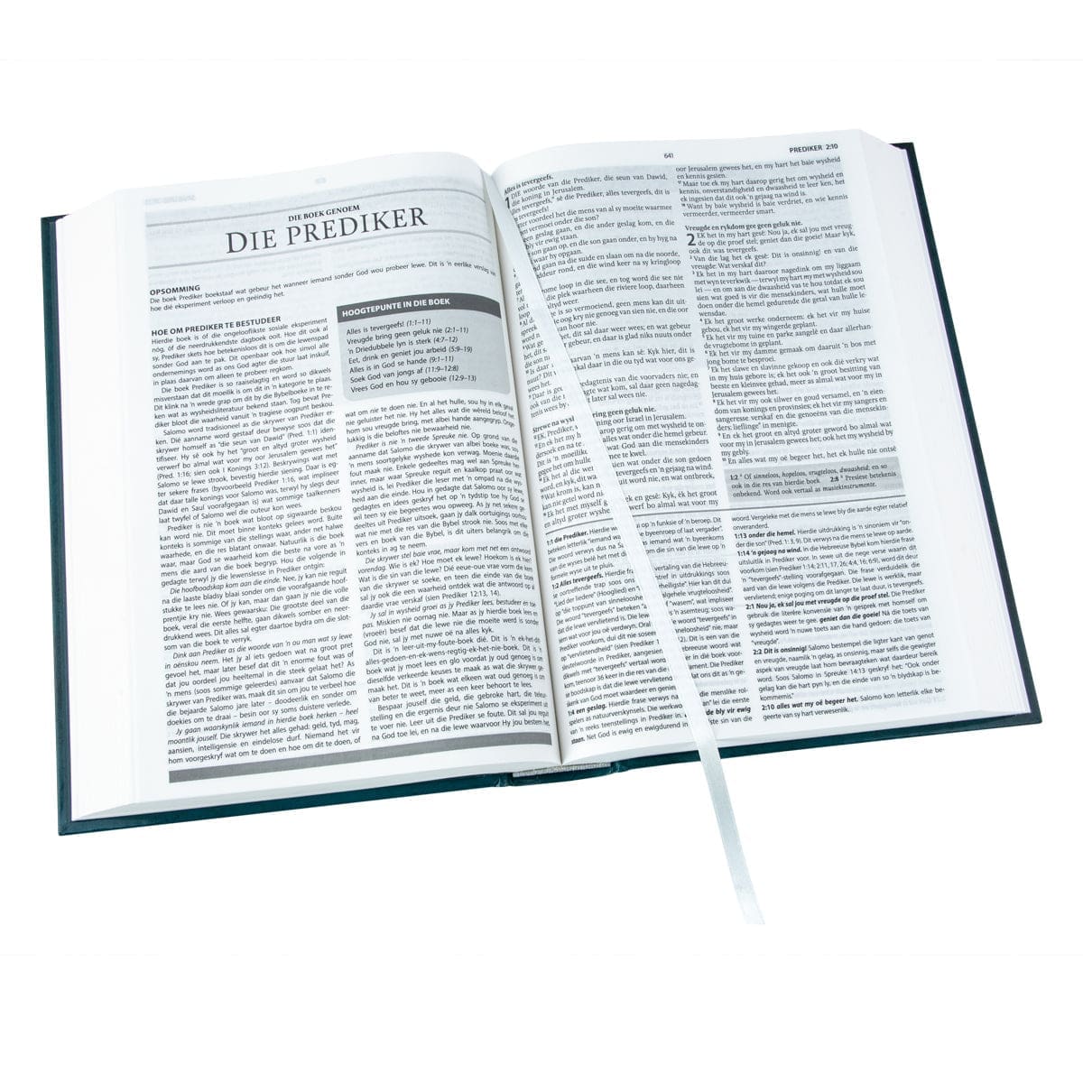 9781415342060_feature3 Afrikaans 1933/1953 Vertaling Groen Hardeband Verklarende Studiebybel - Image 14