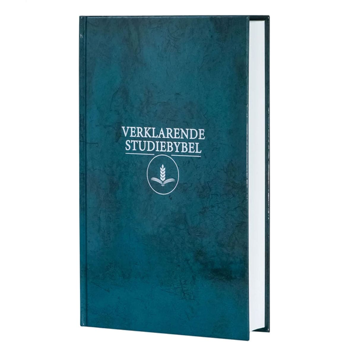 9781415342060_front Afrikaans 1933/1953 Vertaling Groen Hardeband Verklarende Studiebybel - Image 11