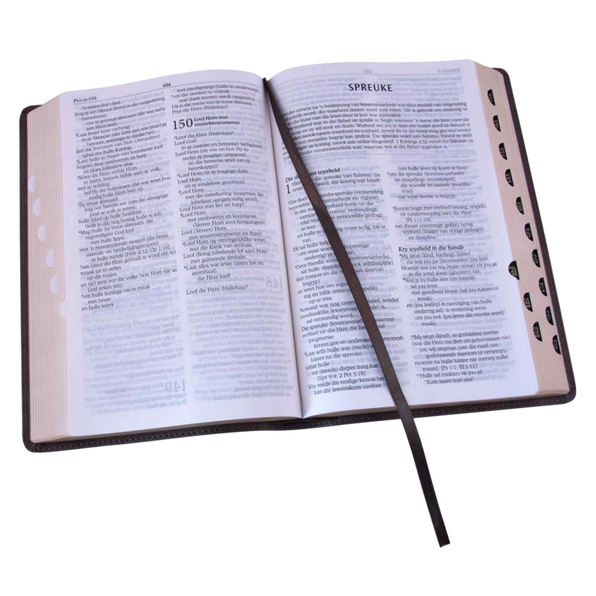 9781431625406_feature2 NLV Bruin Kunsleer Toeligtingsbybel - Image 11