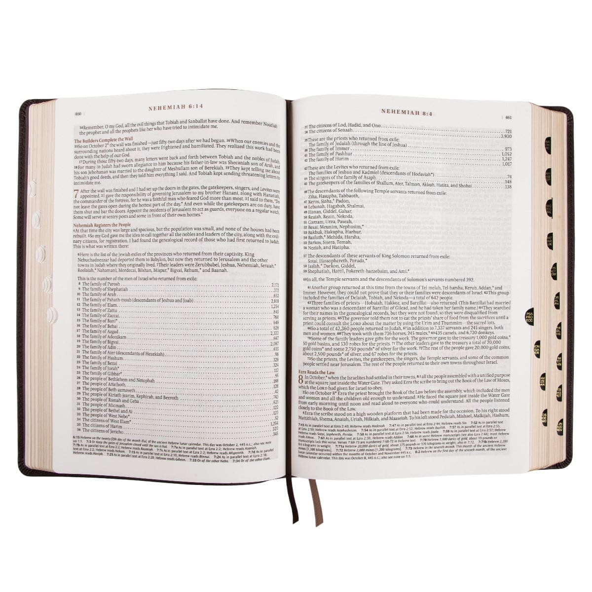 9781432134662_feature5 NLT Dark Brown Faux Leather Thumb Indexed Spiritual Growth Bible - Image 21