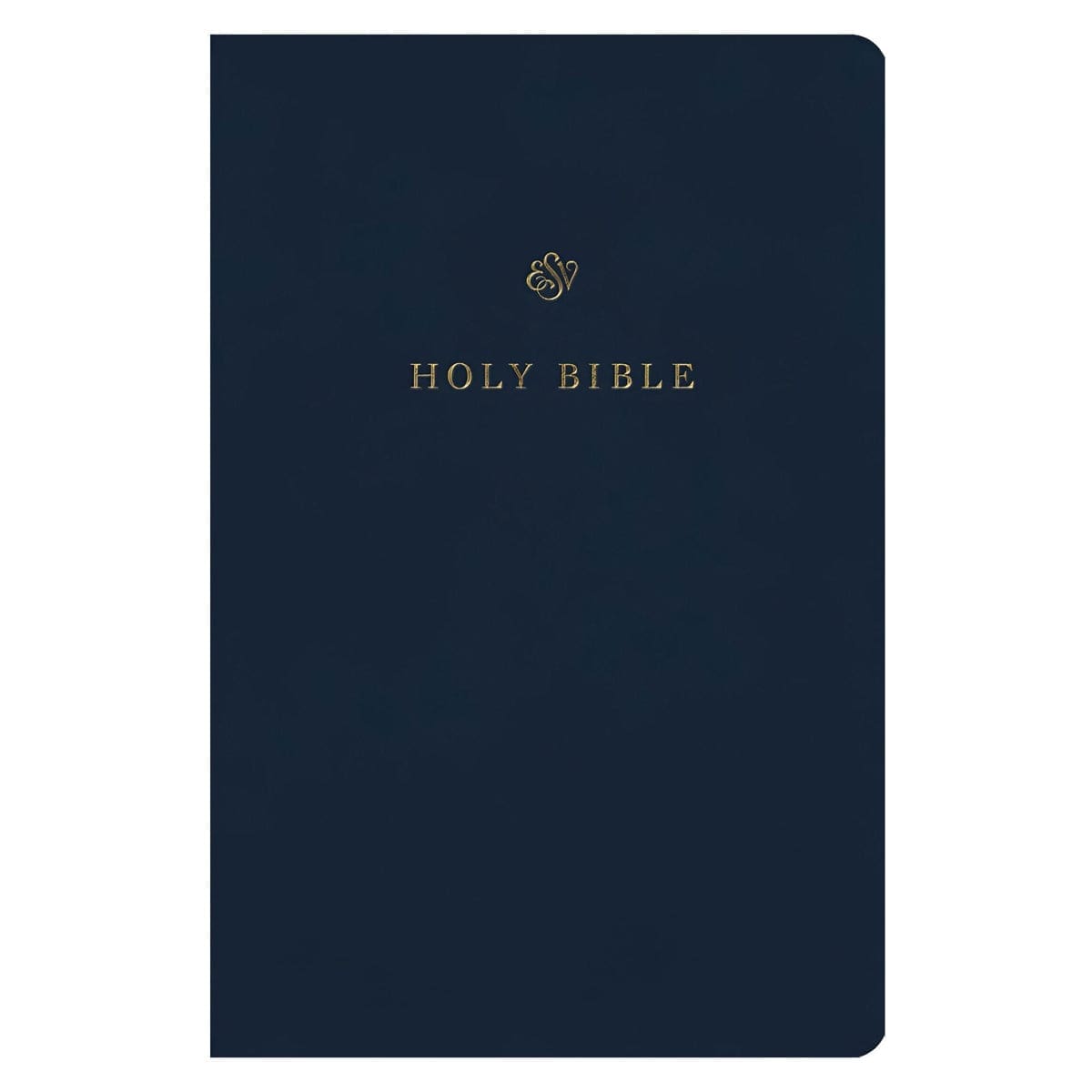 9781433590276_front ESV Blue Imitation Leather Gift and Award Bible - Image 3