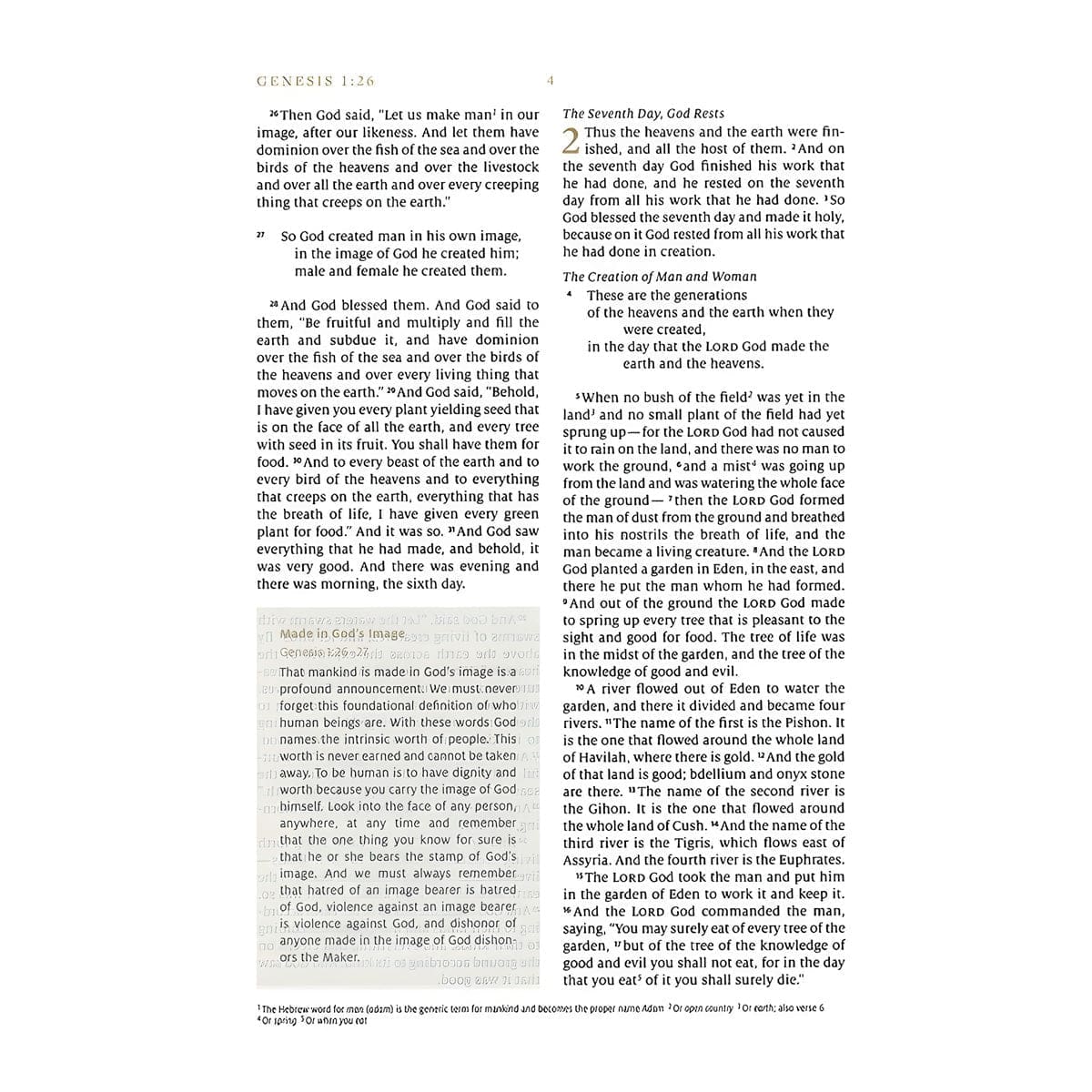 9781433595691_feature3 ESV White Hardcover Everyday Gospel Bible - Image 9