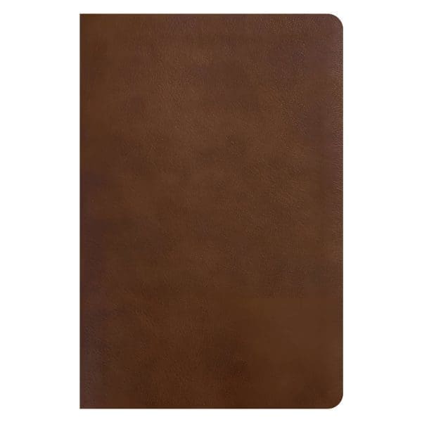 NLT Rustic Brown Imitation Leather One Year Chronological Study Bible - Image 8