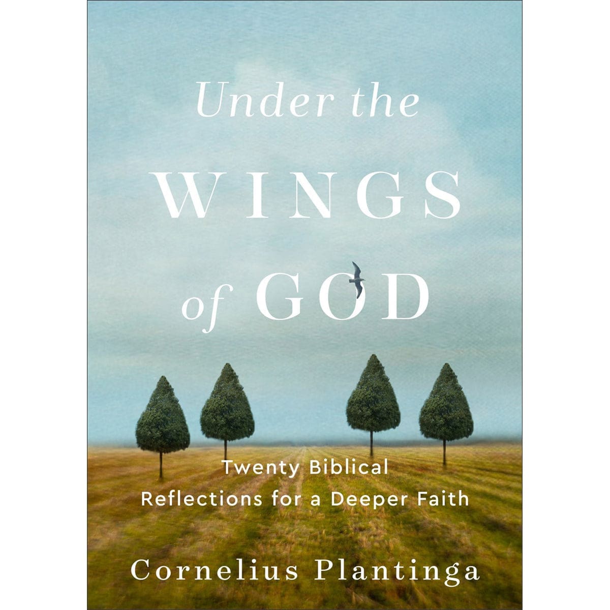 9781540966179_front Under The Wings Of God: Twenty Biblical Reflections For A Deeper Faith (Paperback) - Image 3