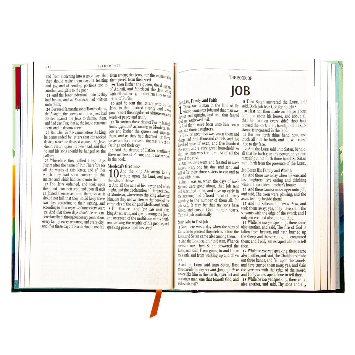 9781639523009_feature3 KJV Teal Mountains Hardcover Kids Bible Large Print - Image 17
