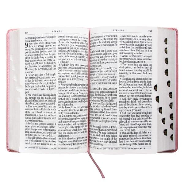 KJV Pink Faux Leather Bible Giant Print - Image 20