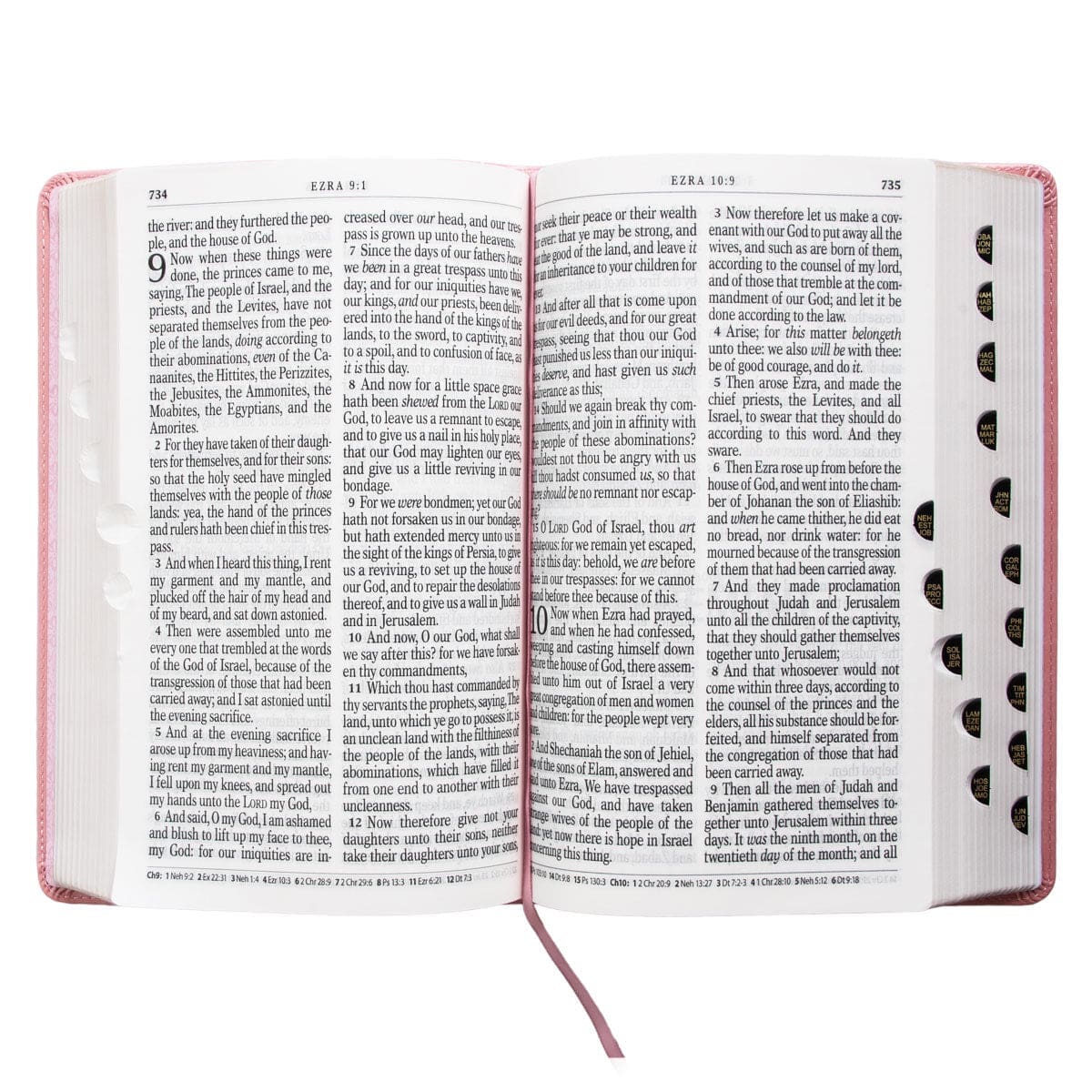 9781642725735_feature4 KJV Pink Faux Leather Bible Giant Print - Image 20