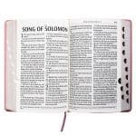 KJV Pink Faux Leather Bible Giant Print - Image 21