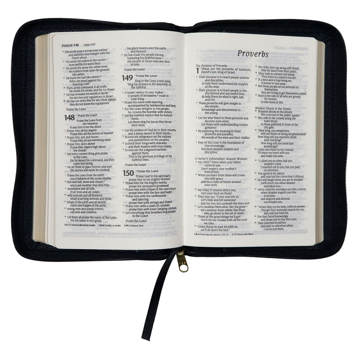 9781776370320_feature5 NLT Black Faux Leather Flexcover Compact Bible With Zip - Image 19