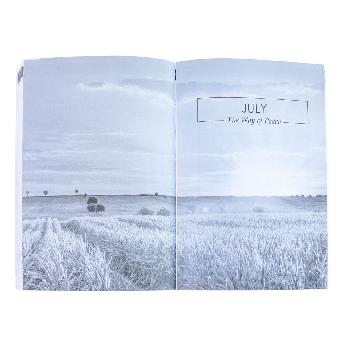 9781776371143_feature4 Pocket Prayers For Every Day (Paperback) - Image 19
