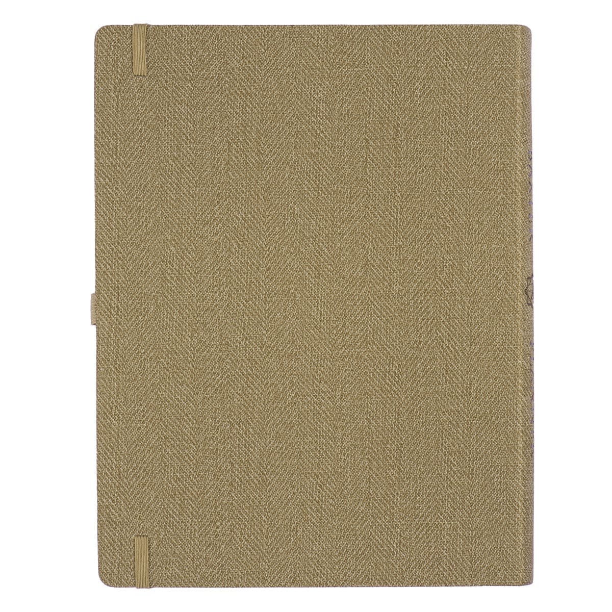 9781776371655_back Baxter Undated Planner A4 Sand Color (Durable Synthetic Fibre Flexcover) - Image 16