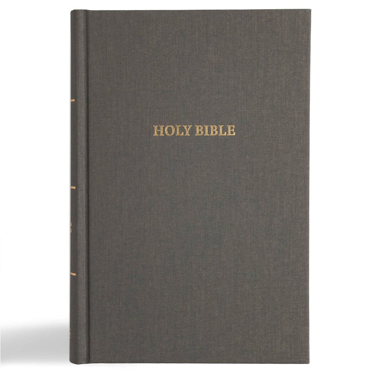 9798384518259_front CSB Charcoal Hardcover Grace Dyslexia Friendly Bible Large Print - Image 7