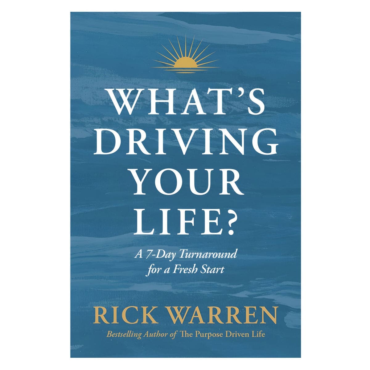 9798400504587_front What's Driving Your Life?: A 10-Day Turnaround for a Fresh Start (Paperback) - Image 3