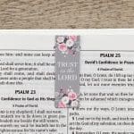 Pink Roses Magnetic Bookmarks Set Of 6 - Image 12