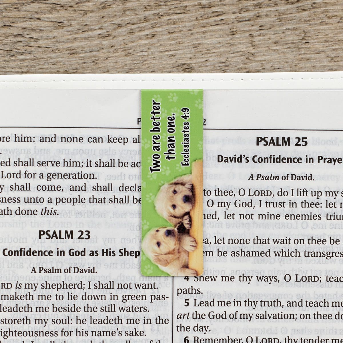 6006937095977_feature2 I Thank God Everytime Magnetic Bookmarks Set Of 6 - Image 16